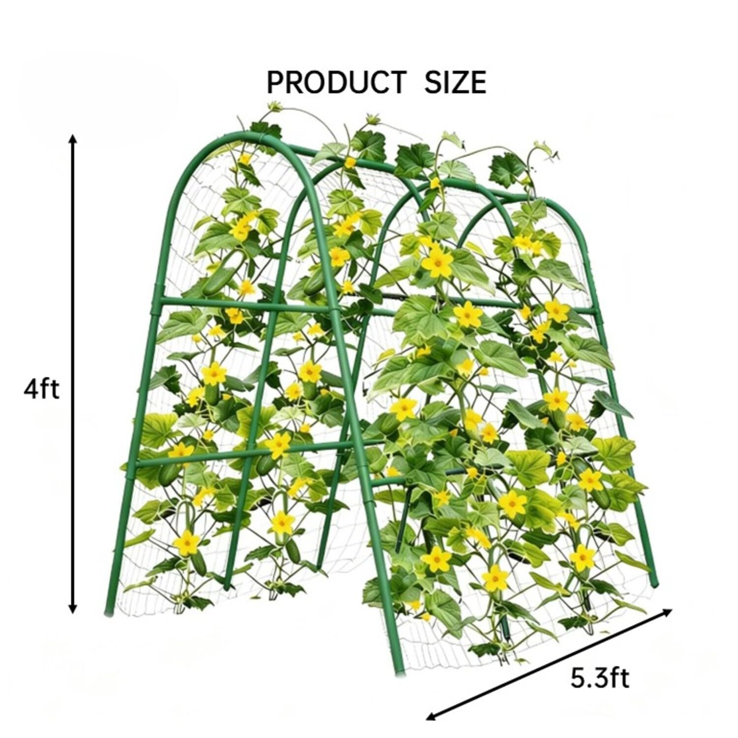 Arco de jardín de 4x5.3 pies p - Plants X reseña y precio